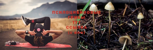 скорость mdpv Богданович