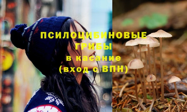 сатива Богородск