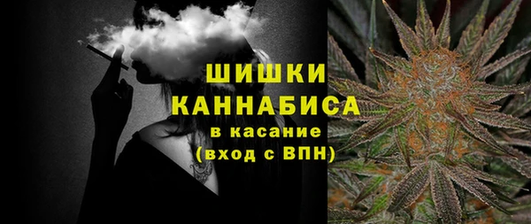 сатива Богородск