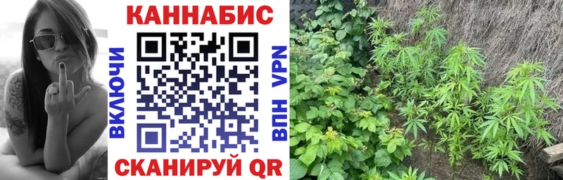 Марихуана Bruce Banner  Короча 